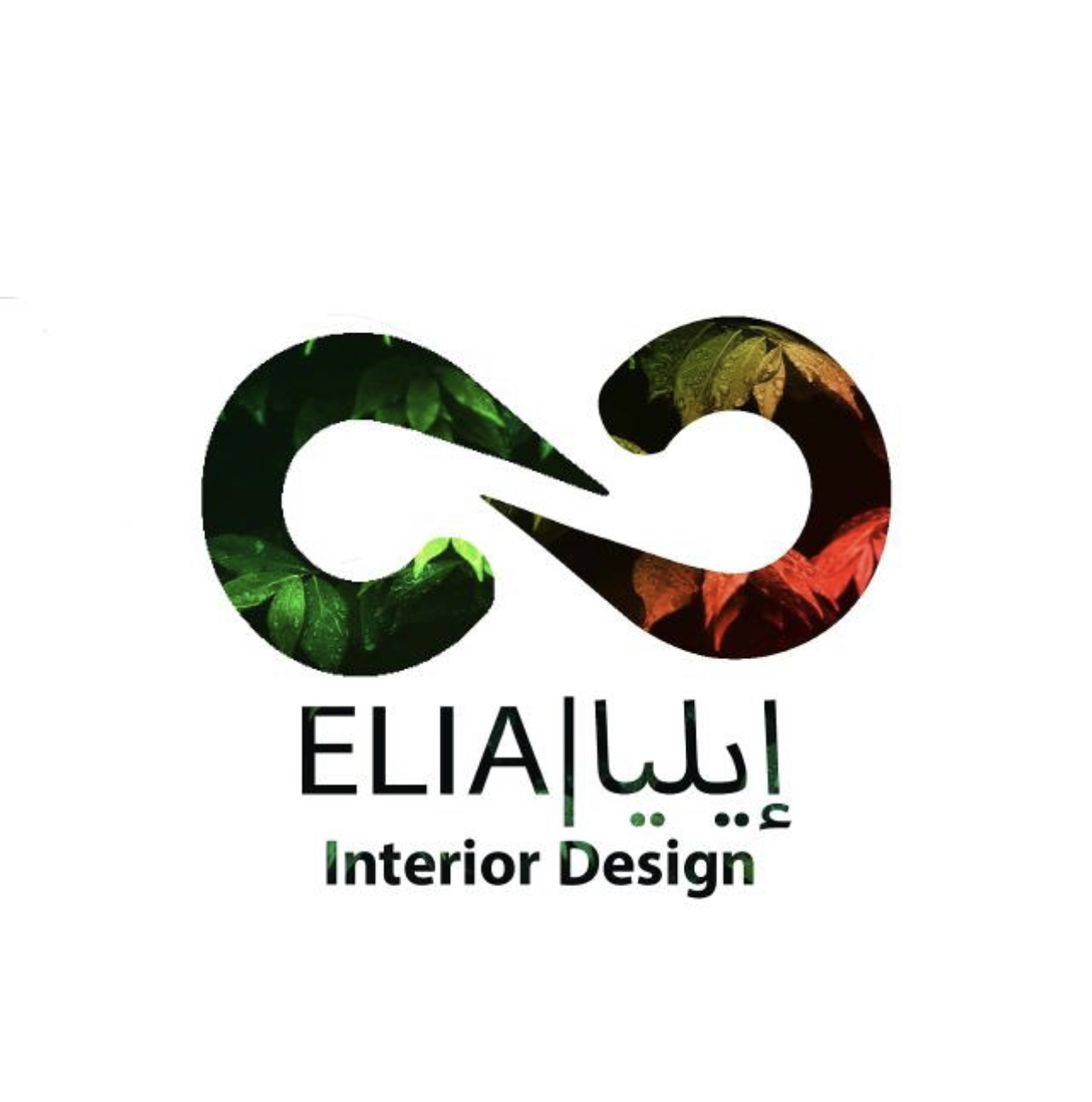 مؤسسة ايلياء 