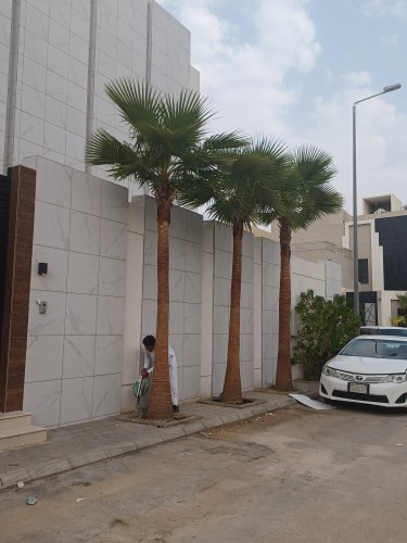 ابو بدر لجميع أعمال النخيل 