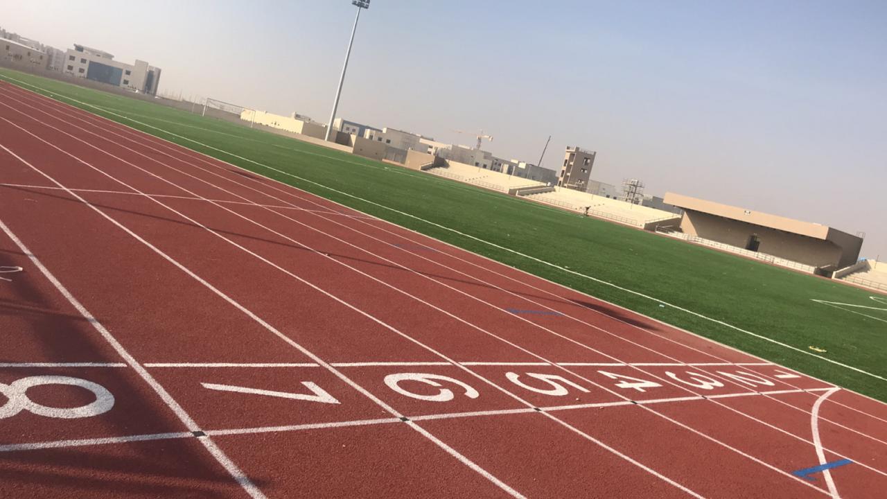 <p>22ملاعب رياضية عشب صناعى 1</p>
