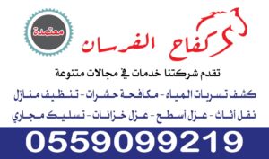كفاح الفرسان ترميم عوازل والصيانة